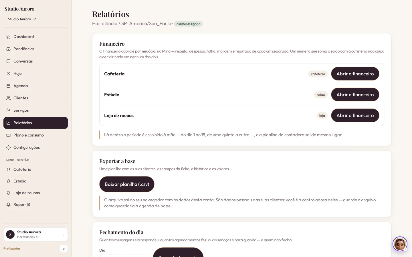 Tela real do Mind™: o financeiro separado por negócio — cafeteria, estúdio e loja de roupas, cada um com o seu, e a planilha da contadora saindo do mesmo lugar