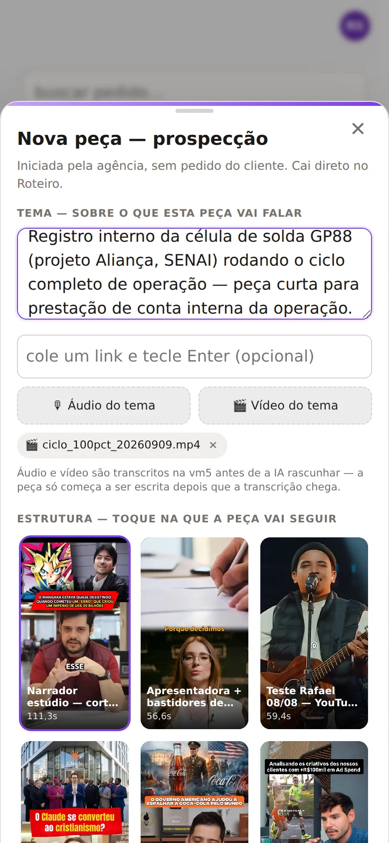 Pedido novo no Reelo™ (conta de demonstração): objetivo da peça escrito em uma frase e estrutura de corte escolhida